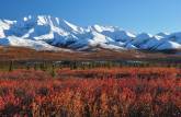 As incríveis cores e a belíssima paisagem do Denali National Park, no Alaska